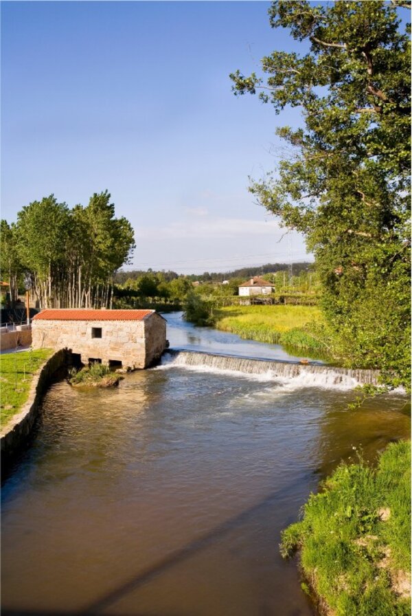 Moinho da Ponte de Novelas